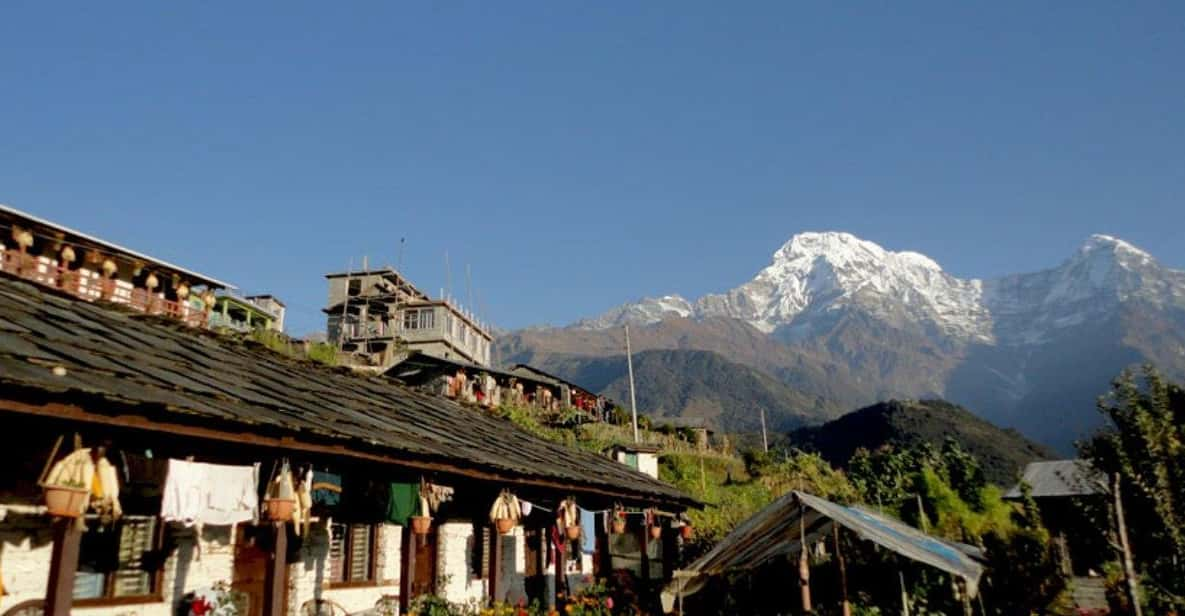 From Pokhara: 3 Night 4 Days Ghandruk Poon Hill Trek - Daily Itinerary