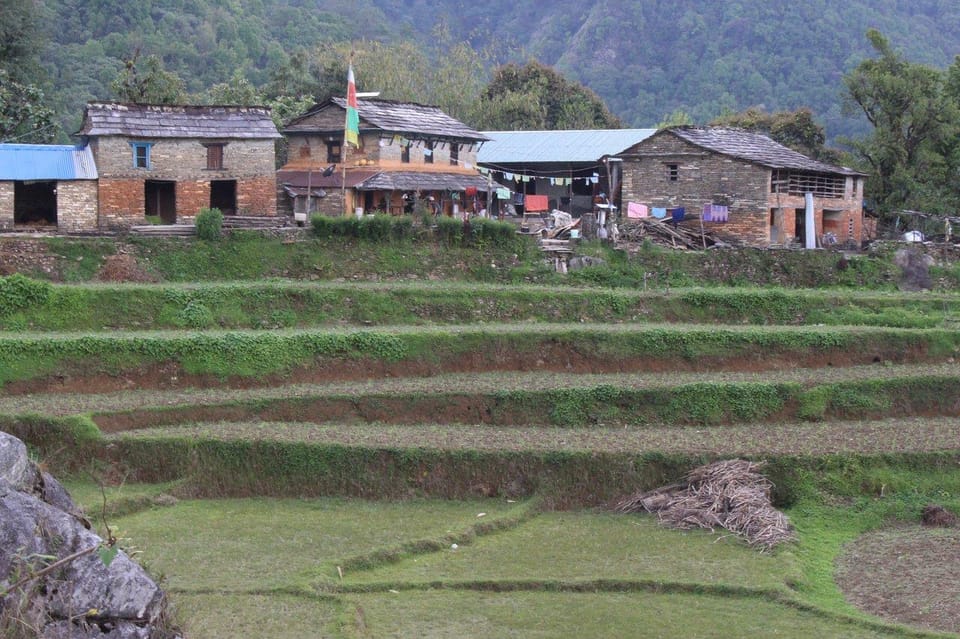 From Pokhara: 3 Night 4 Days Mohare Danda & Poon Hill Trek - Cultural Experiences