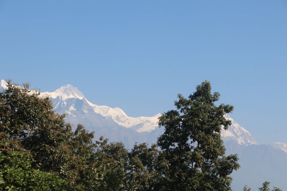 From Pokhara: 5-Day Annapurna Base Camp Trek - Stunning Trekking Highlights