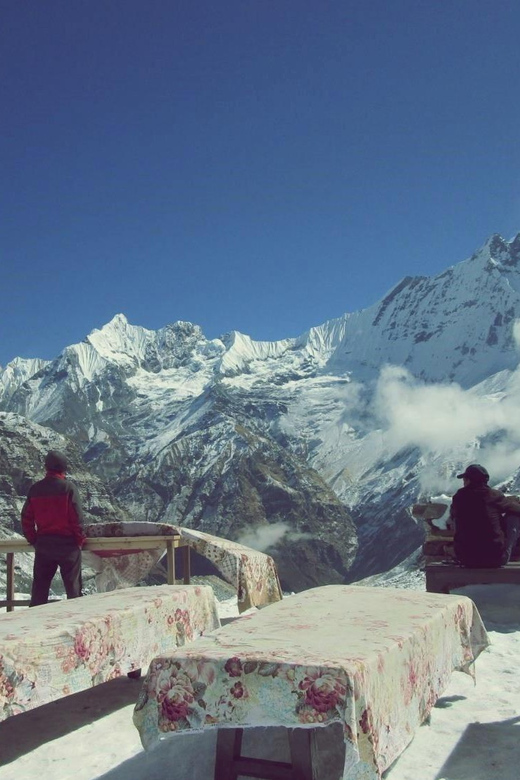 From Pokhara: 5 Day Annapurna Basecamp Trek With Local Guide - Included Services and Costs