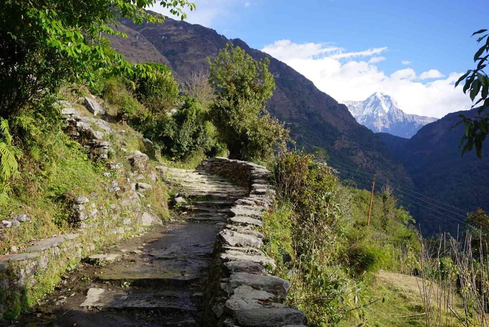 From Pokhara: 6-Day Lower Mustang and Poon Hill Trek - Unique Experiences