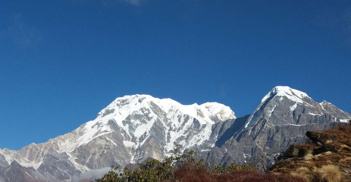 From Pokhara: 6-Day Mardi Himal Base Camp Trek - Pricing Information