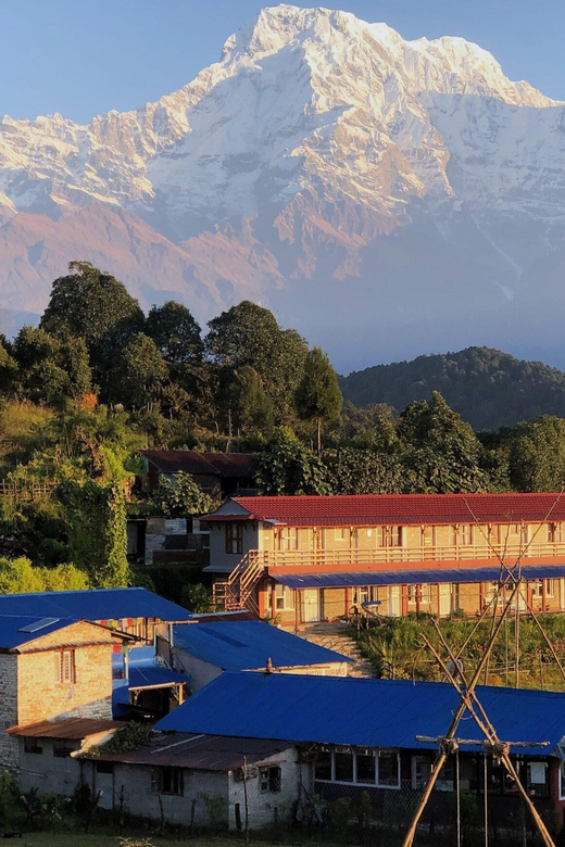 From Pokhara: Full Day Easy Hiking to Australian Camp - Detailed Itinerary