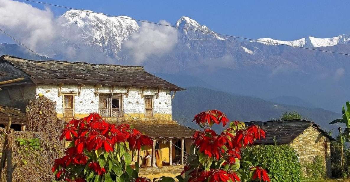 From Pokhara: Guided Day Hike With Annapurna Panoramic View - Highlights of the Experience