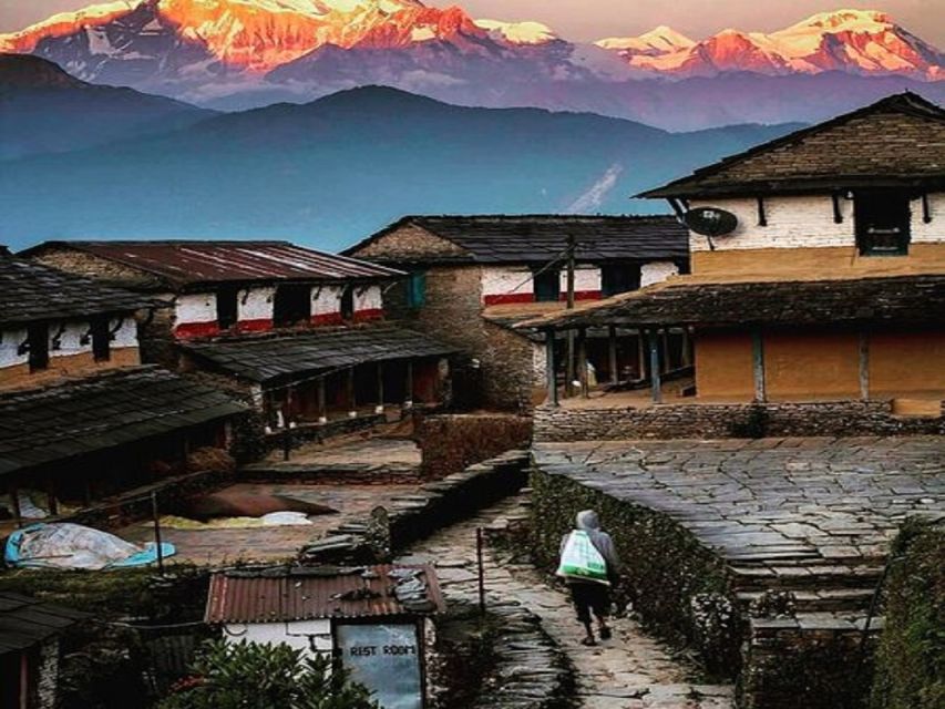 From Pokhara: Guided Tour to Visit 4 Himalayas View Point - Key Experiences