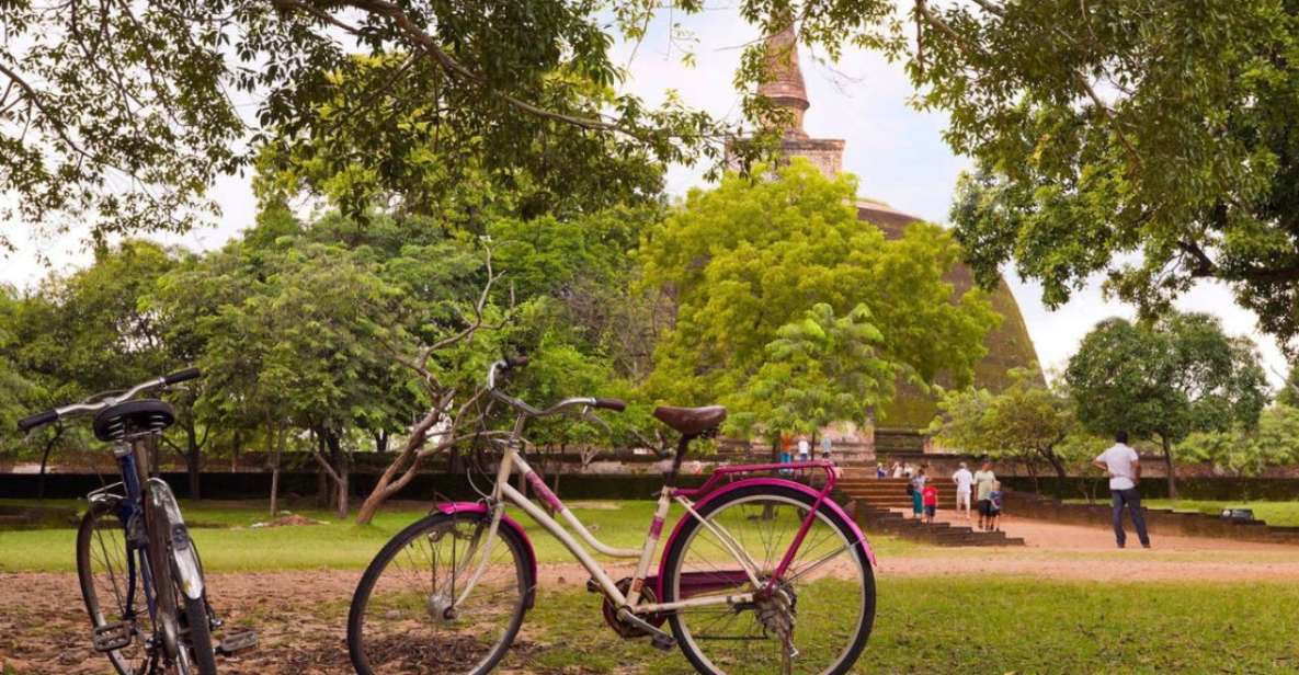 From Polonnaruwa: Ancient City of Polonnaruwa by Bike - Inclusions