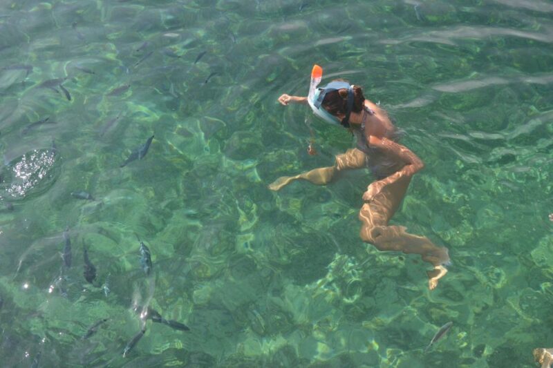 From Porto Vecchio: Escape Excursion to Sardinia With Drinks - Included Amenities