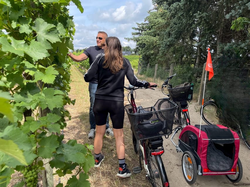 From Potsdam: E-Bike Tour Into the Vineyards - Inclusions