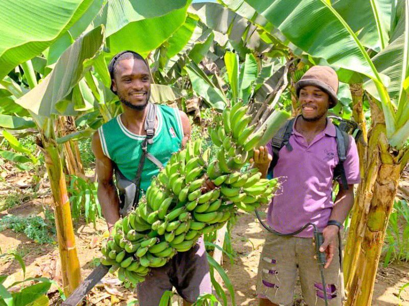 From Praia: Banana Plantation Tour and Cuscuz Workshop - Location and Duration