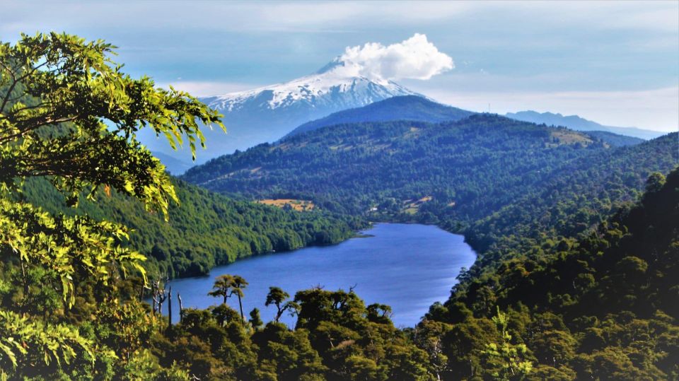 From Pucón: Huerquehue National Park Hiking Tour - Experience Highlights