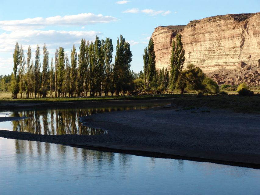 From Puerto Madryn: Chubut River Valley Welsh Colonies - Welsh Settlements in Chubut