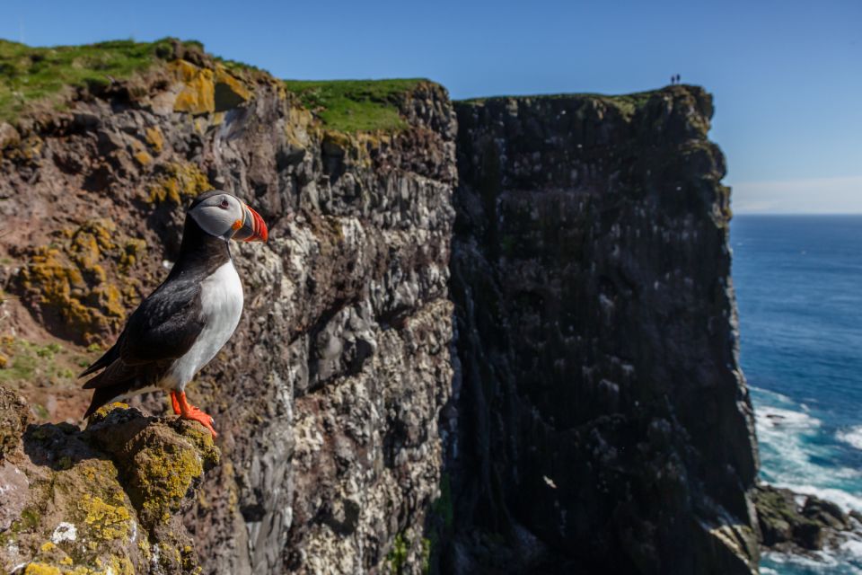 From Reykjavík: 3-Day Tour of the Wild Westfjords - Day 1 Details