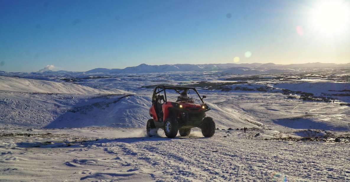 From Reykjavik: Buggy & Whale Watching Adventure - Buggy Ride Experience