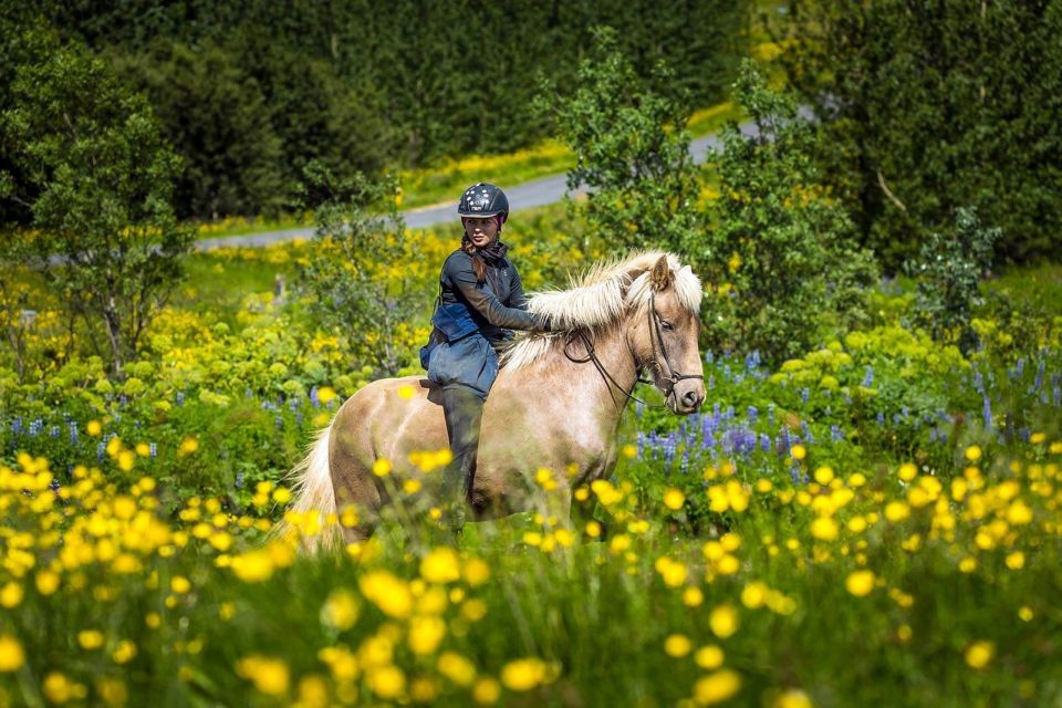 From Reykjavik: Full-Day Horse Riding & Golden Circle Tour - Experience Details