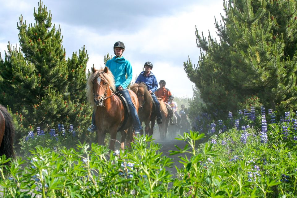 From Reykjavík: Icelandic Horse Riding Tour in Lava Fields - Itinerary Highlights