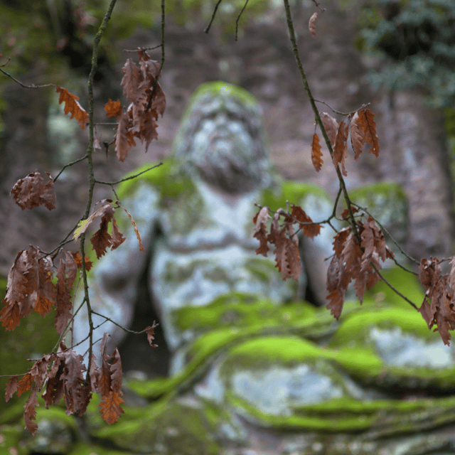 From Rome: Private Tour in Bomarzo and Civita of Bagnoregio - Discovering Bomarzo Gardens