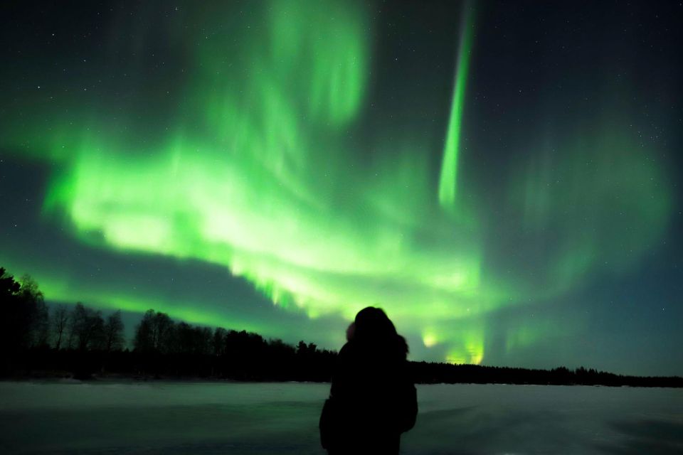 From Rovaniemi: Aurora Borealis Trip in Lapland Lakeside - Booking Your Adventure