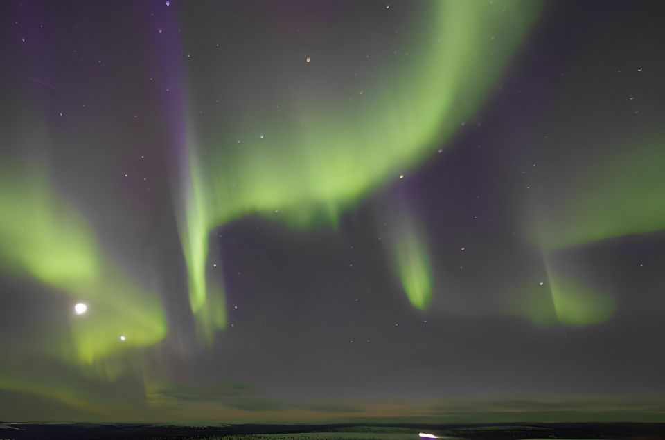 From Rovaniemi: Aurora Dreamscape Tour in the Wild - Detailed Itinerary