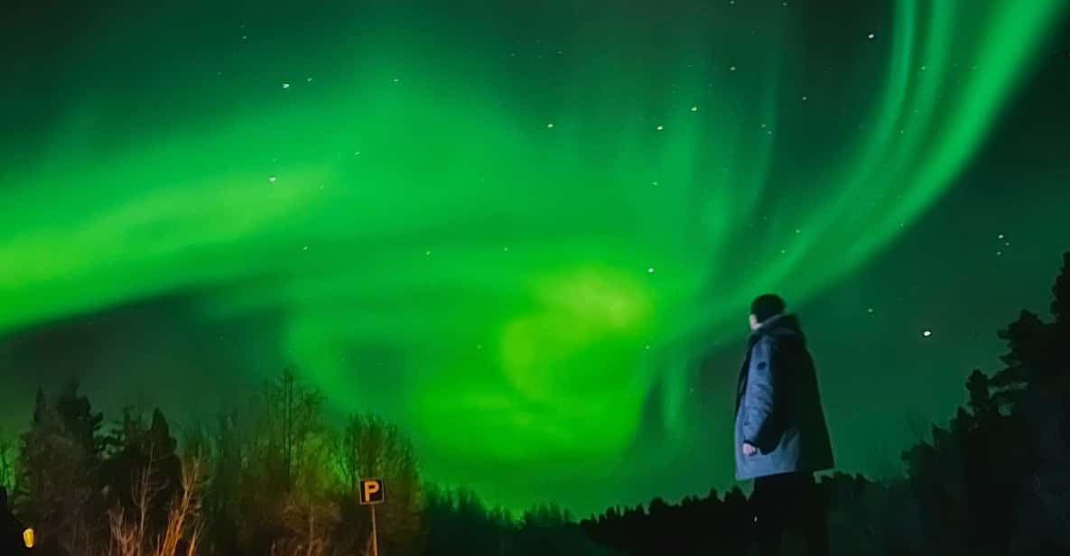 From Rovaniemi: Lapland Aurora Hunt With Barbeque - Included Services