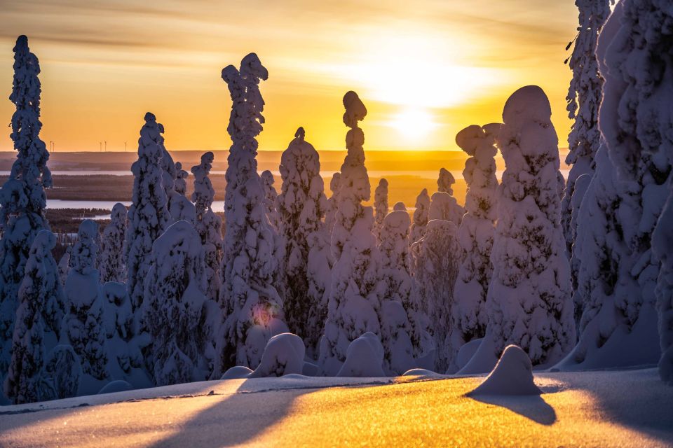 From Rovaniemi: Riisitunturi Full-Day Wilderness Adventure - Itinerary Details