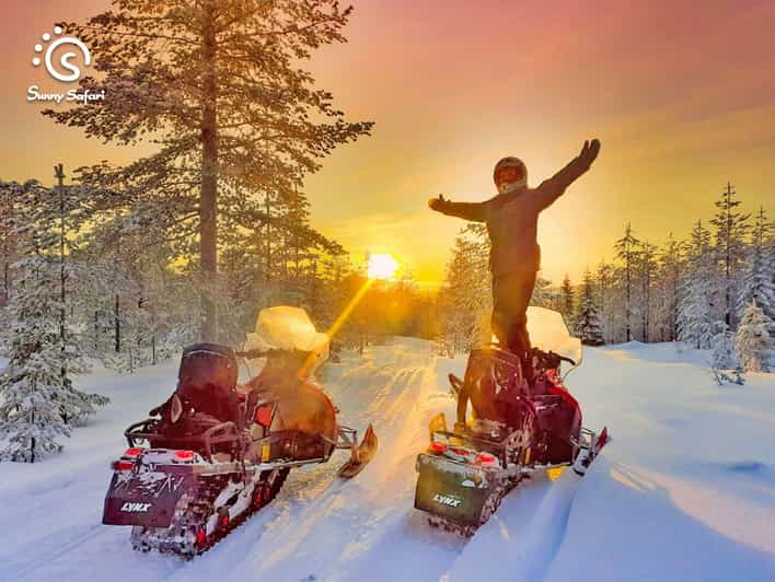 From Rovaniemi: Snowmobile Safari Into Arctic Wilderness - Itinerary Details