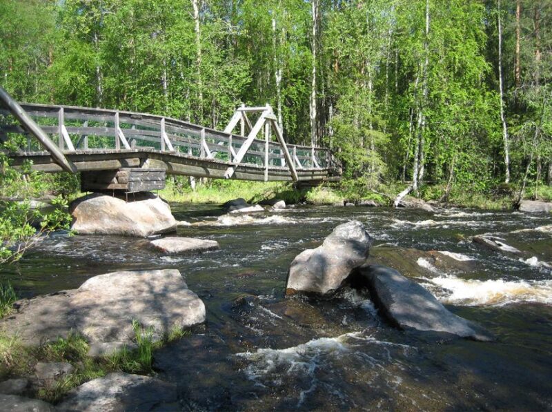 From Rovaniemi: Vikaköngäs Forest Hiking Tour With BBQ - Detailed Itinerary