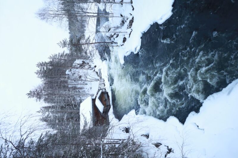 From Ruka: Snowshoeing in Oulanka National Park - Experience Highlights