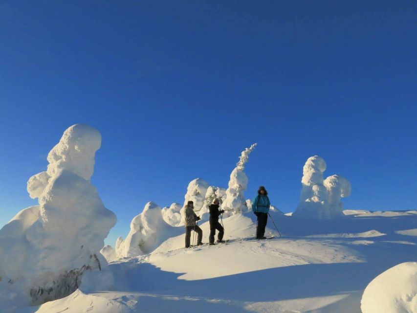 From Ruka: Snowshoeing in Riisitunturi National Park - Experience Highlights