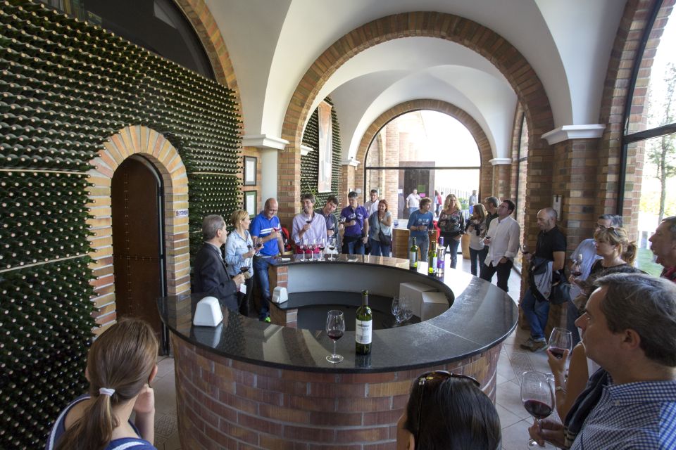 From San Sebastian/Bilbao/Vitoria: La Rioja Wineries Tour - Inclusions and Accessibility