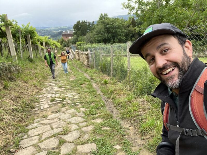 From San Sebastian: Guided Coastal Hike With Winery Tasting - Included Activities