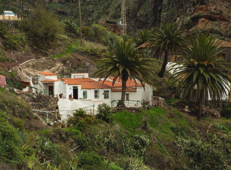 From Santa Cruz De Tenerife: Masca & Garachico Private Trip - Transportation and Guide