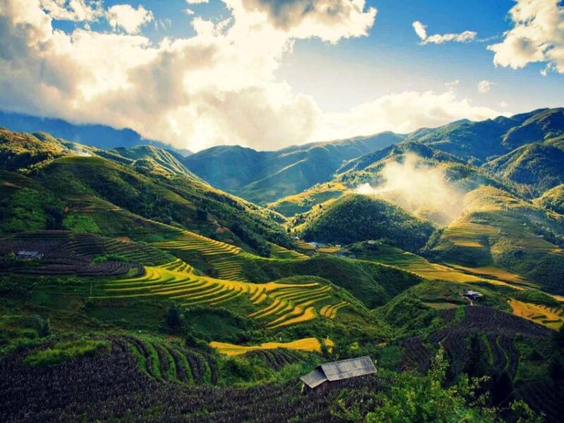 From Sapa : 1 Day Amazing Sapa Trek to Terrace Rice Field - Experience Highlights