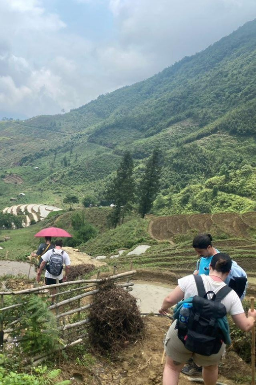 From Sapa - 1D Trek: Walk Through Bamboo Forest With Lunch - Experience and Cultural Interaction