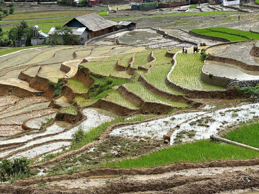 From Sapa: a Wonderful 2 Day 1 Night Trek With a Homestay - Itinerary Day 2