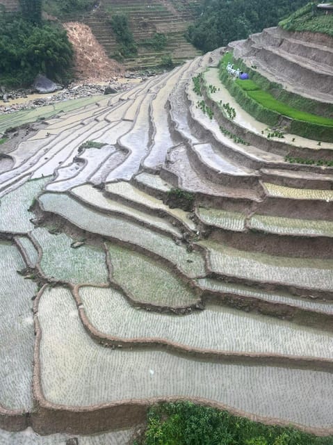 From Sapa: Trek 2 Day - Rice Terrace - Homestay in Ta Van - Trek to Tavan Homestay