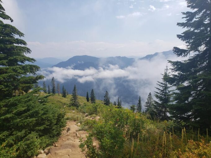 From Seattle: Cascades Hiking & Snoqualmie Falls Tour - Inclusions and Exclusions