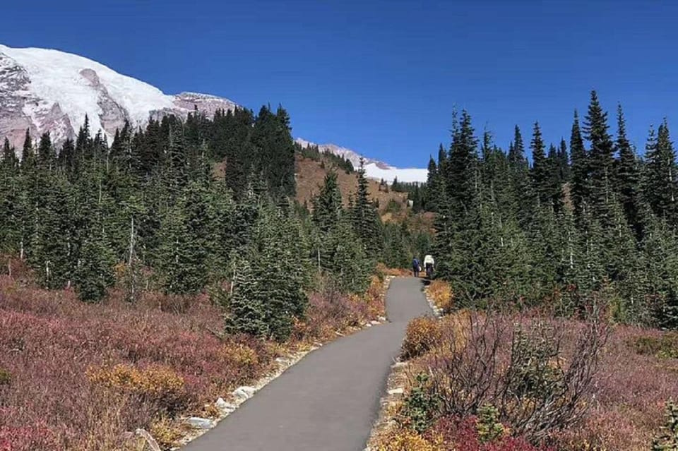 From Seattle: Mount Rainier National Park 1-Day Tour - Key Attractions