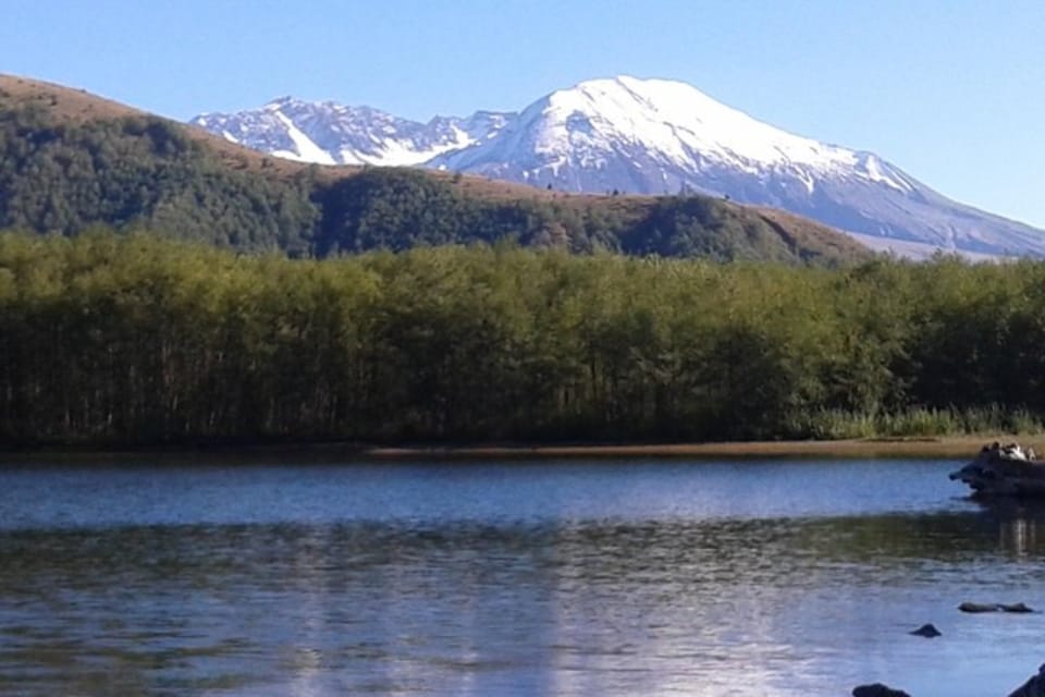 From Seattle: Mount Saint Helens Monument Private Day Trip - Detailed Itinerary