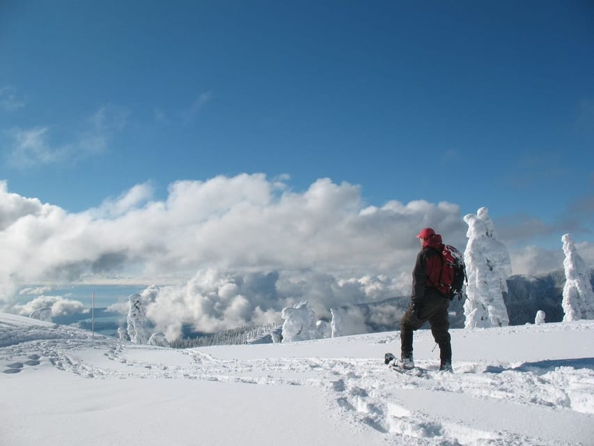 From Seattle: Winter Snowshoeing in the Cascade Mountains - Whats Included in the Tour