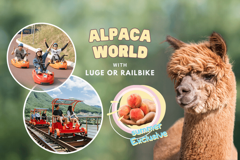 From Seoul: Alpaca Farm With Rail Bike/ Luge Racing - Gangchon Rail Bike Experience