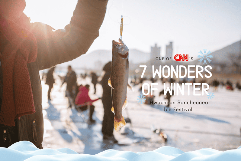 From Seoul: Hwacheon Ice Fishing and Lighting Festival Tour - Inclusions and Exclusions