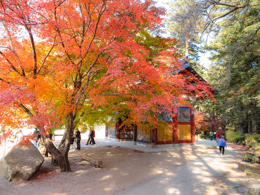 From Seoul: Odaesan or Daedunsan Park Fall Foliage Day Tour - Cancellation and Refund Policy