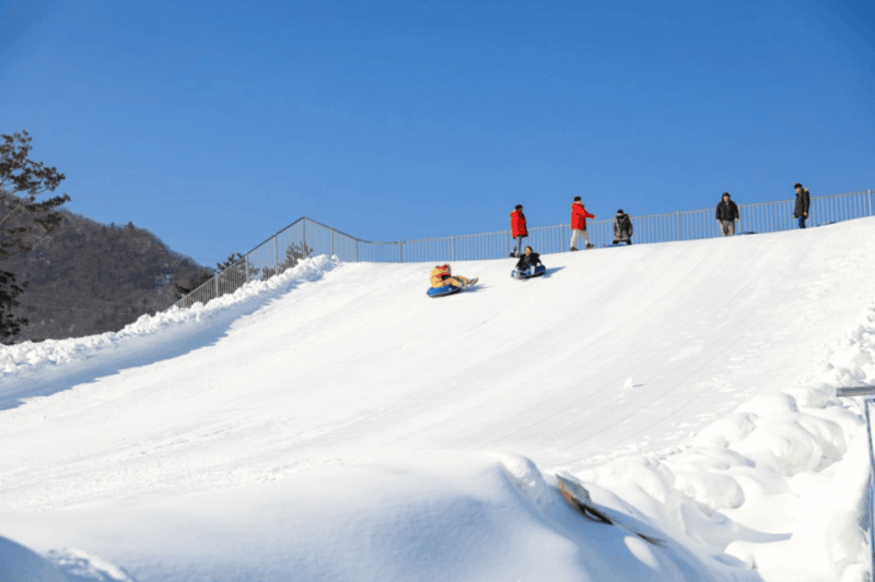 From Seoul: Pyeongchang Trout Festival - Tour Inclusions