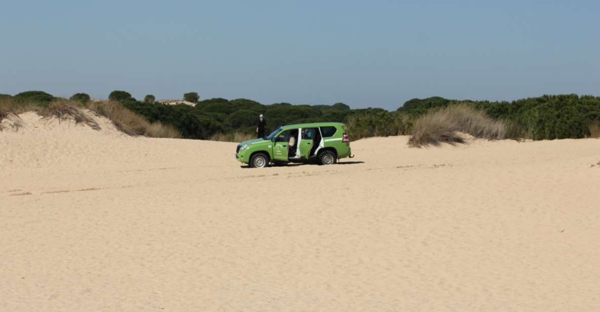 From Seville: Private Tour Doñana Park, El Rocío & Beach - Doñana National Park Highlights