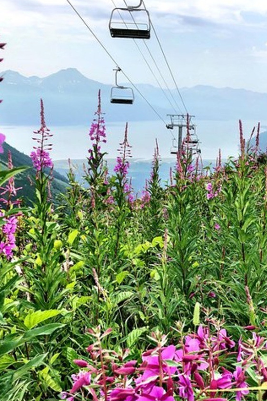 From Seward or Whittier: Guided Craft Tour and Ship Transfer - Itinerary Highlights