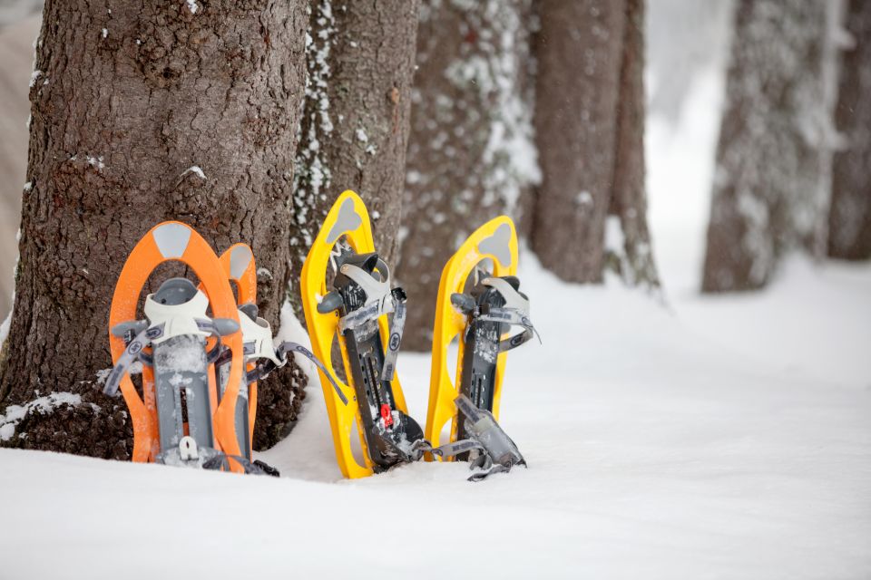 From Sirkka: Levi Summit Guided Nature Snowshoeing Tour - Inclusions and Exclusions