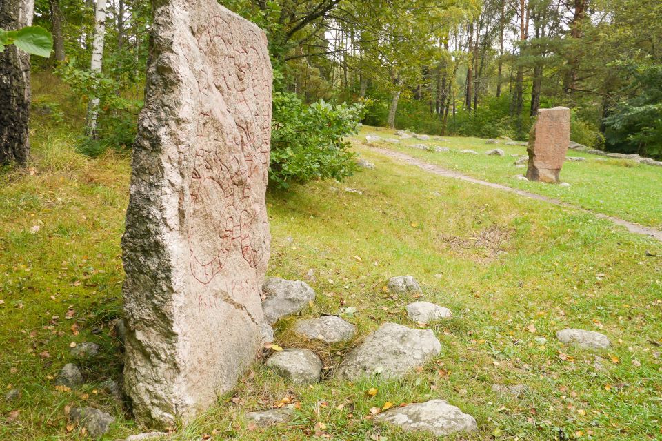 From Stockholm: Viking History Tour to Sigtuna and Uppsala - Experience Viking History