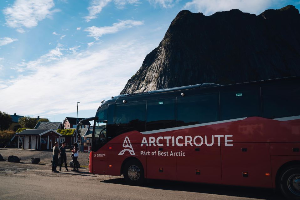 From Svolvær: Best of Lofoten Tour in One Day - Transportation Details