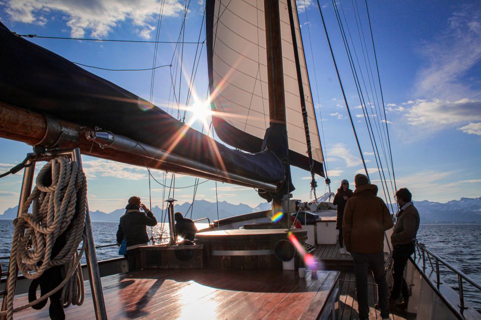 From Svolvær: Lofoten Islands Midnight Sun Luxury Sail - Detailed Itinerary