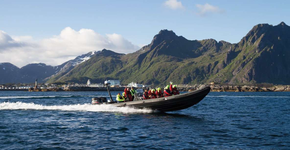 From Svolvær: RIB Sea Eagle Safari Trollfjord Cruise - Experience Highlights